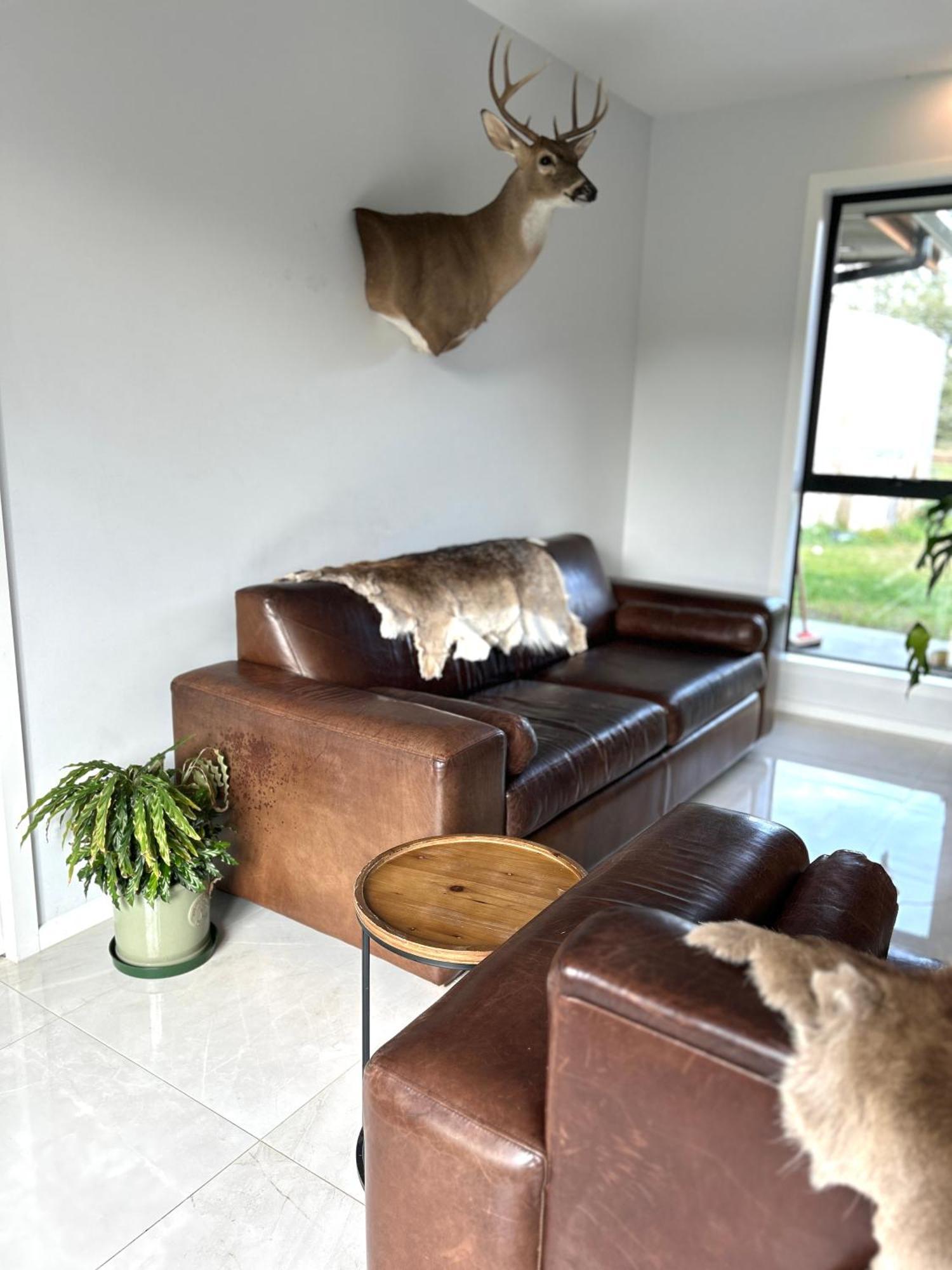 Tarras Serenity Haven - Mountain Views And Calm Extérieur photo